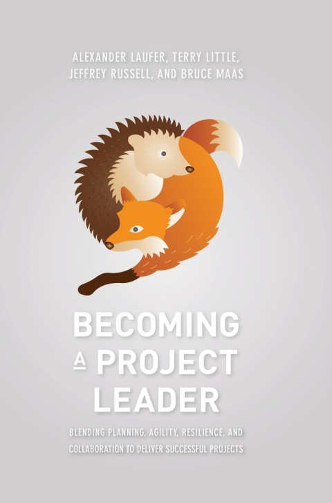 Cover image for book Becoming a Project Leader