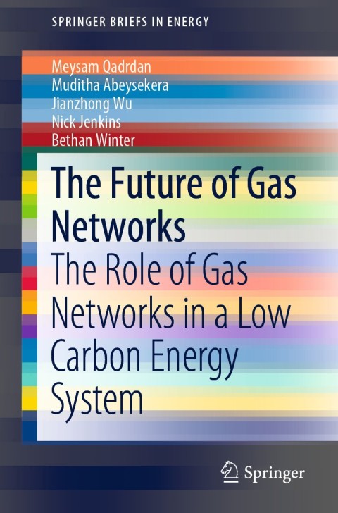 The Future of Gas Networks 