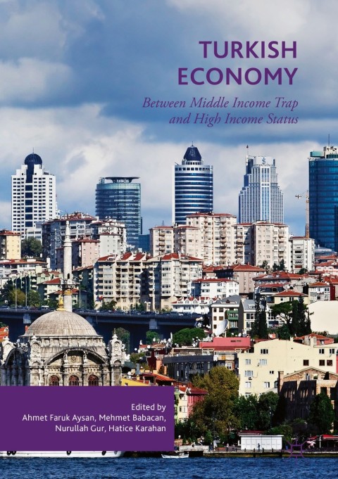 Cover image for book Turkish Economy