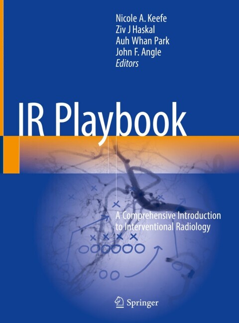 Cover image for book IR Playbook
