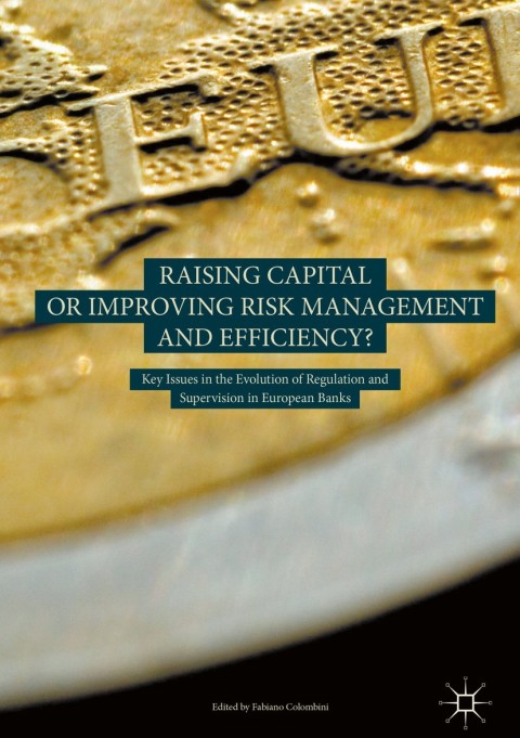 Cover image for book Raising Capital or Improving Risk Management and Efficiency?