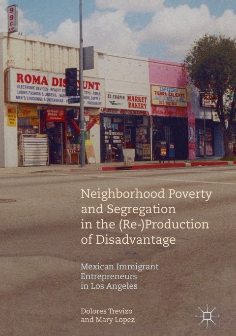 Cover image for book Neighborhood Poverty and Segregation in the (Re-)Production of Disadvantage