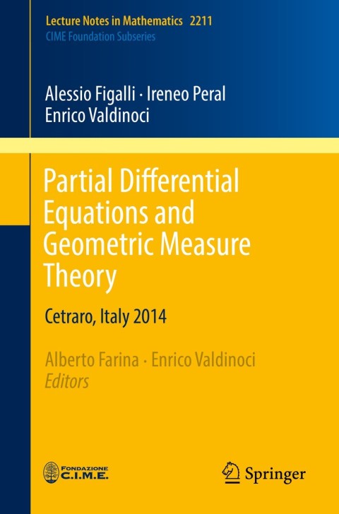 Cover image for book Partial Differential Equations and Geometric Measure Theory