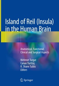 Island of Reil (Insula) in the Human Brain | 9783319754673 ...