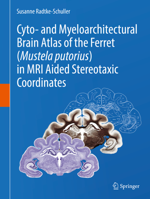 Cover image for book Cyto- and Myeloarchitectural Brain Atlas of the Ferret (Mustela putorius) in MRI Aided Stereotaxic Coordinates