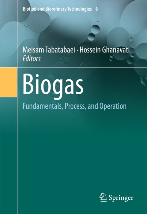Cover image for book Biogas