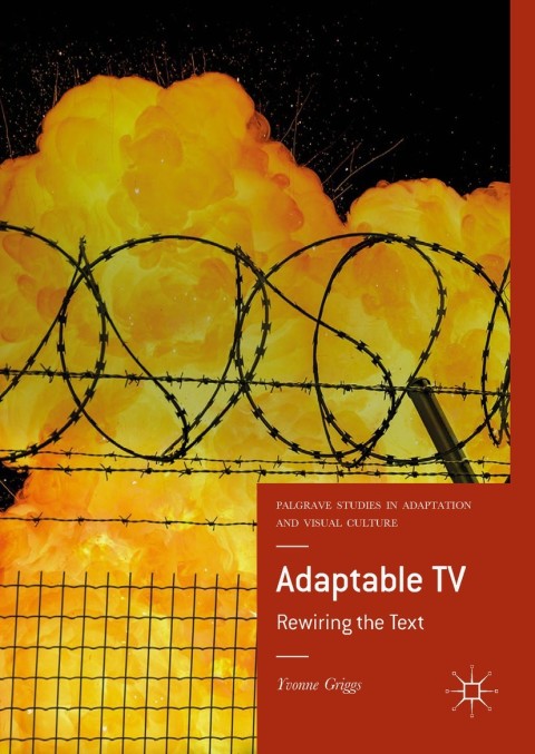 Cover image for book Adaptable TV