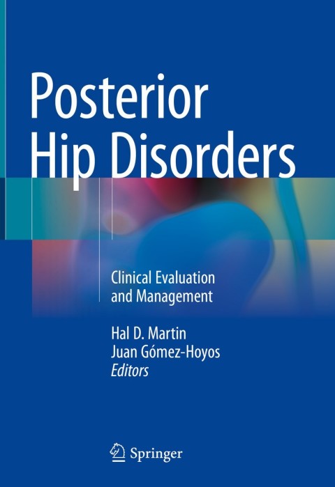 Cover image for book Posterior Hip Disorders