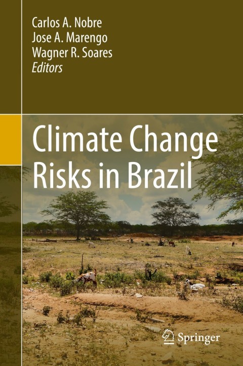 Cover image for book Climate Change Risks in Brazil