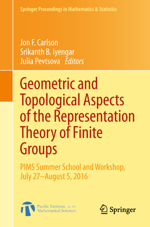Cover image for book Geometric and Topological Aspects of the Representation Theory of Finite Groups
