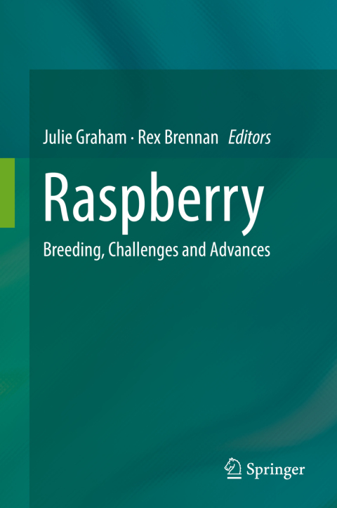 Cover image for book Raspberry