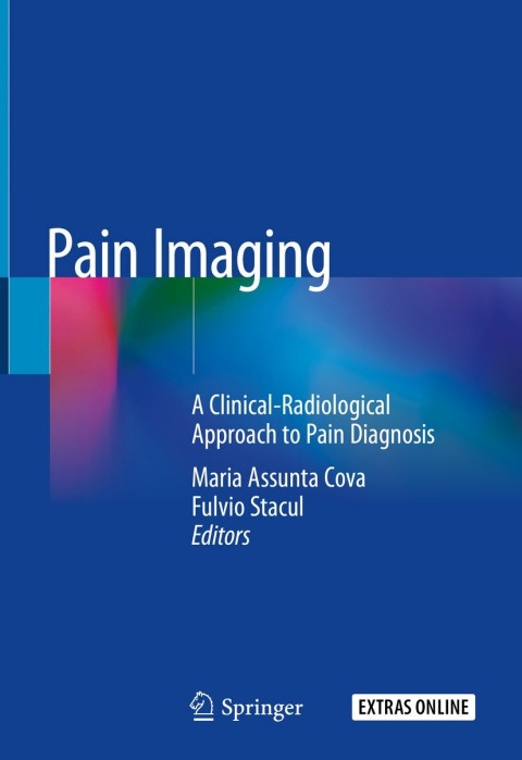 Cover image for book Pain Imaging