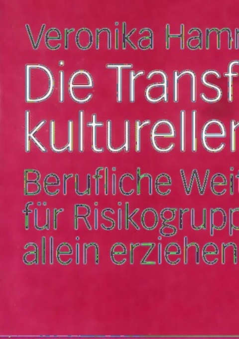 Cover image for book Die Transformation kulturellen Kapitals