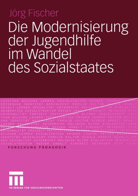 Cover image for book Die Modernisierung der Jugendhilfe im Wandel des Sozialstaates