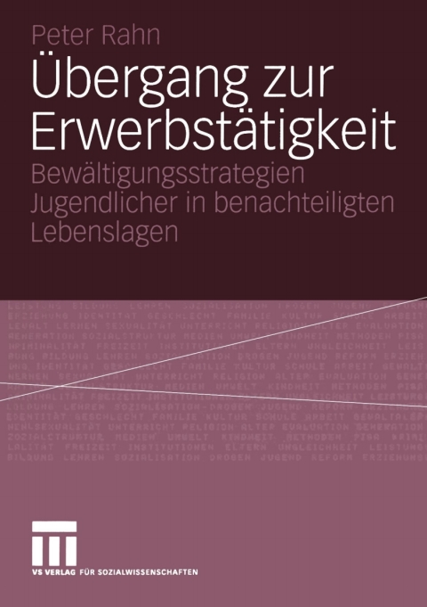 Cover image for book Übergang zur Erwerbstätigkeit