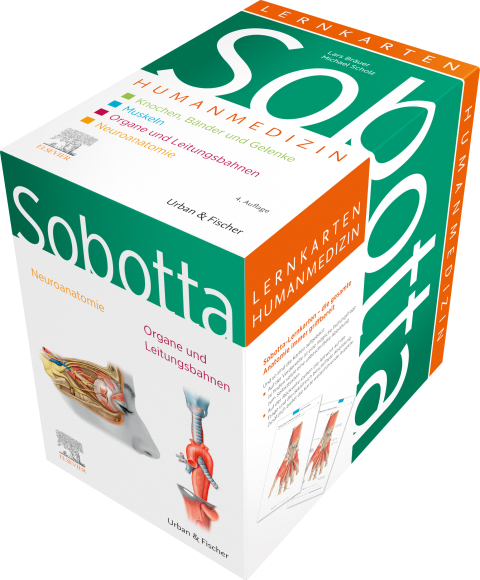 Cover image for book Sobotta Lernkarten Humanmedizin