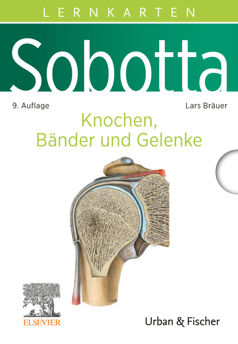 Cover image for book Sobotta Lernkarten Knochen, Bänder und Gelenke