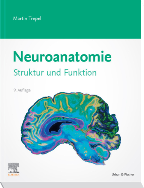 Cover image for book Neuroanatomie