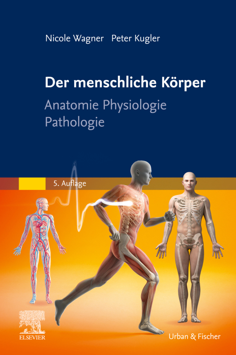 Cover image for book Der menschliche Körper