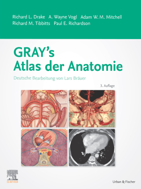 Gray's Atlas der Anatomie 