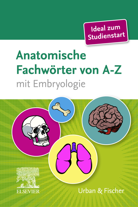 Cover image for book Anatomische Fachwörter von A-Z