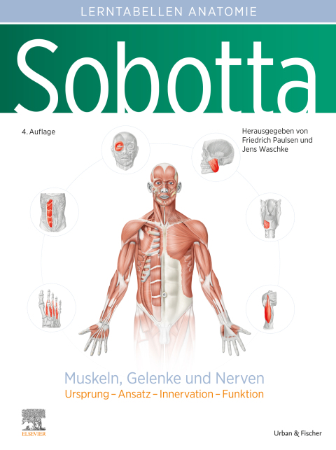 Sobotta Lerntabellen Muskeln, Gelenke und Nerven 