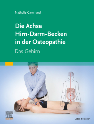 Die Achse Hirn-Darm-Becken in der Osteopathie