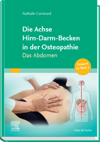 Die Achse Hirn-Darm-Becken in der Osteopathie