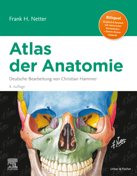 Cover image for book Netter Atlas der Anatomie