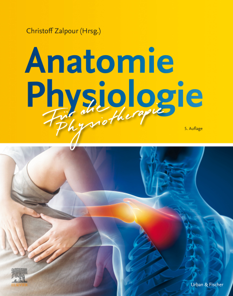 Anatomie Physiologie für die Physiotherapie 