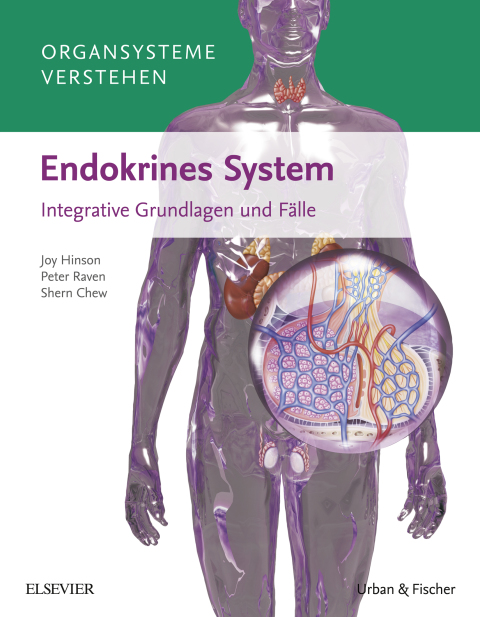 Cover image for book Organsysteme verstehen: Endokrines System