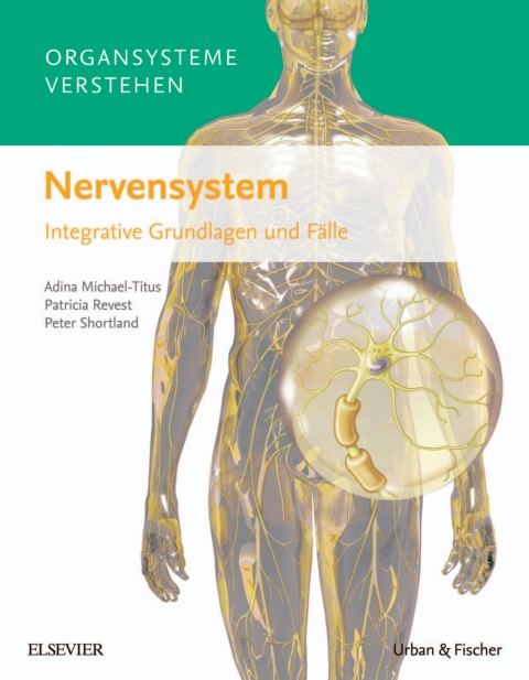 Cover image for book Organsysteme verstehen: Nervensystem