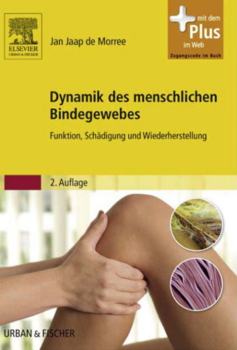 Cover image for book Dynamik des menschlichen Bindegewebes