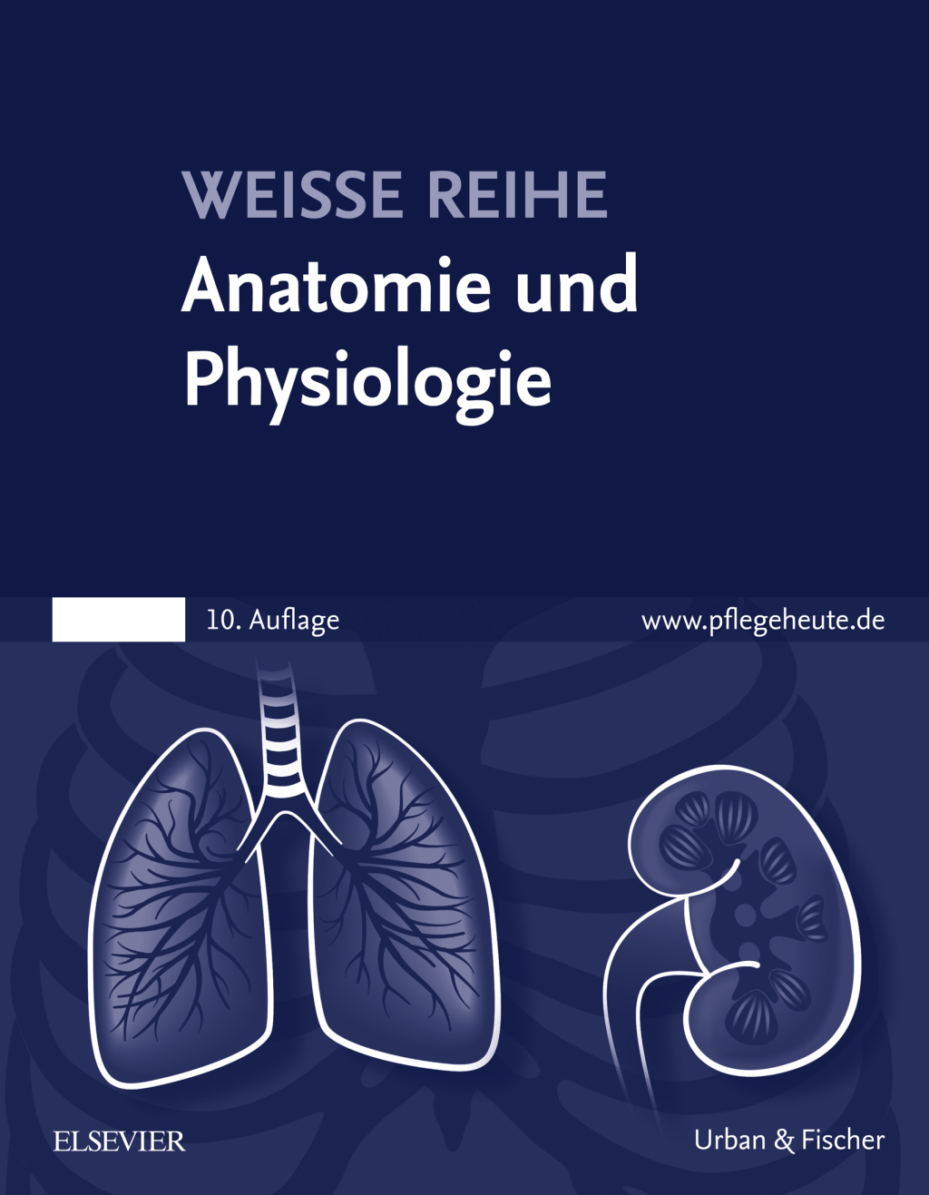 Anatomie und Physiologie - 10th Edition (eBook)