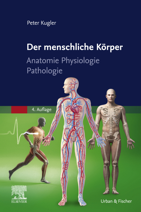 Cover image for book Der menschliche Körper