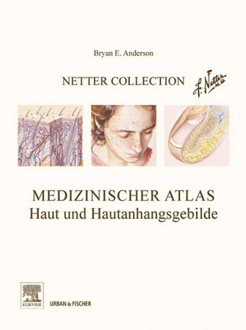 Netter Collection Haut- und Hautanhangsgebilde (eBook) - Anderson,