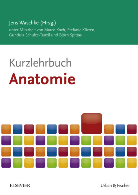 Cover image for book Kurzlehrbuch Anatomie