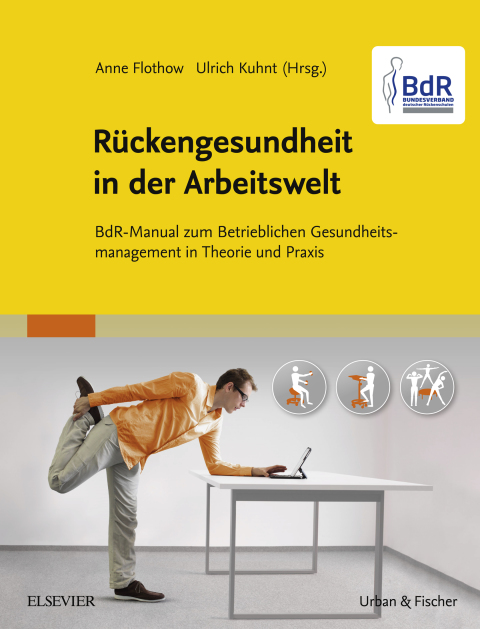 Cover image for book BdR-Manual Rückengesundheit in der Arbeitswelt
