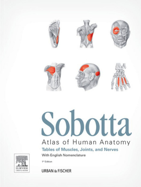 Cover image for book Sobotta Tables of Muscles, Joints and Nerves, English