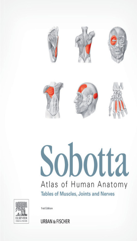 Cover image for book Sobotta Tables of Muscles, Joints and Nerves, English/Latin: Tables to 15th ed. of the Sobotta Atlas