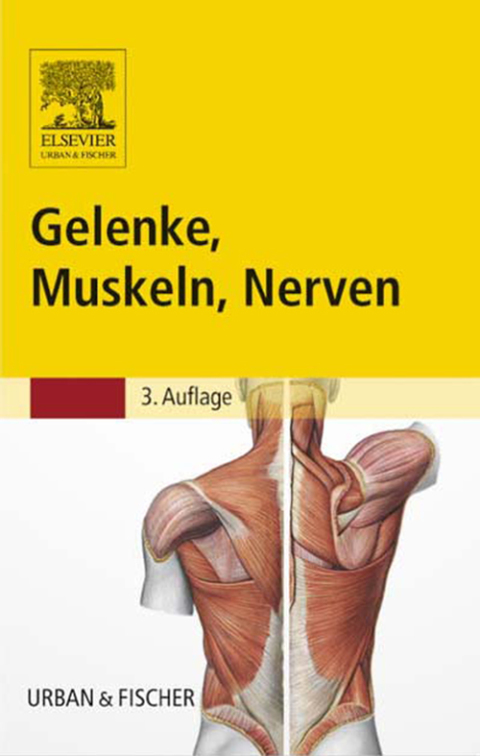 Cover image for book Gelenke, Muskeln, Nerven