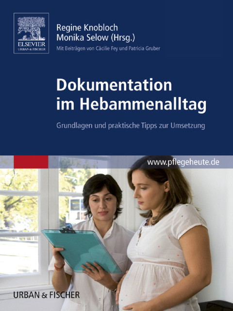 Cover image for book Dokumentation im Hebammenalltag