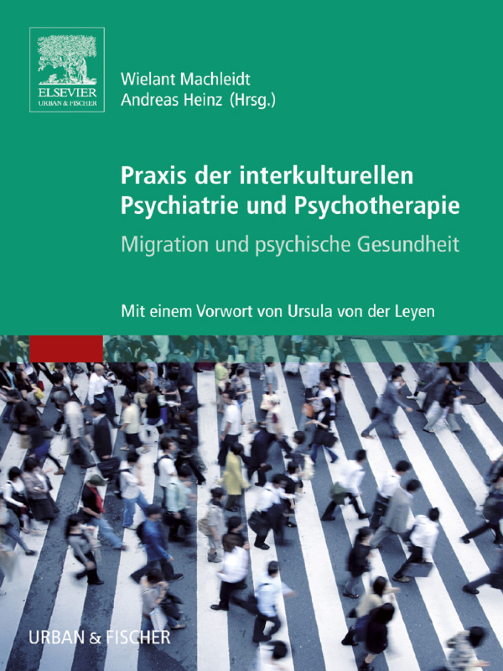 Praxis der interkulturellen Psychiatrie und Psychotherapie (eBook) - Machleidt,  Wielant; Heinz,  Andreas