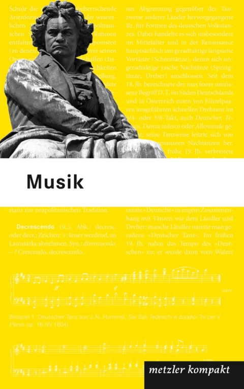 Cover image for book Musik