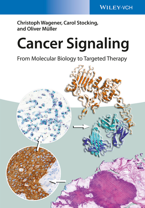 Cover image for book Cancer Signaling: From Molecular Biology to Targeted Therapy