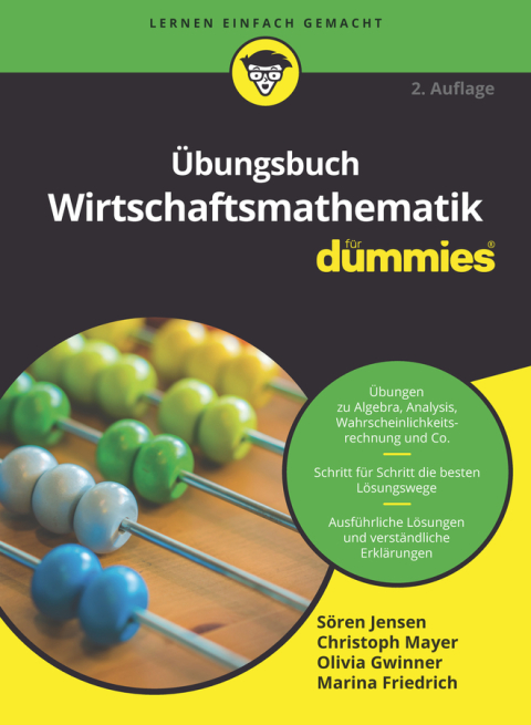 Ãbungsbuch Wirtschaftsmathematik fÃ¼r Dummies 