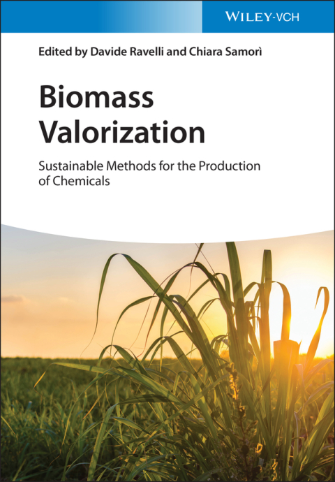 Cover image for book Biomass Valorization
