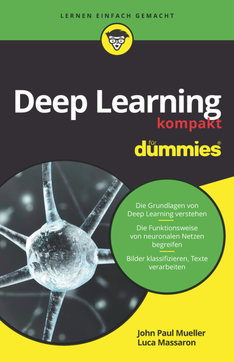 Deep Learning kompakt fÃ¼r Dummies 