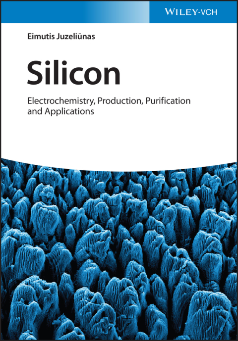Cover image for book Silicon