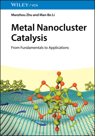 Metal Nanocluster Catalysis